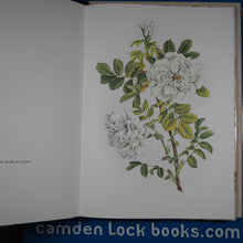 Load image into Gallery viewer, Book of White Flowers - Twenty four paintings Lloyd, Christopher (foreword), Cameron, Elizabeth (artist) Published by K.D. Duval, Frenich, Foss, 1980 Condition: Good Hardcover
