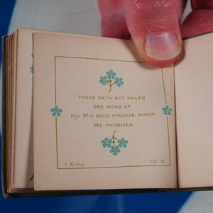 Bible forget-me-nots : a daily text-book of divine promises. [Macduff, John Ross.] Publication Date: 1883 CONDITION: VERY GOOD