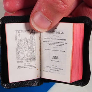 Holy Bible containing the Old and New Testaments.>>MINIATURE BOOK<< [MINIATURE COMPLETE HOLY BIBLE with SHAKESPEARE FAMILY RECORDS. Publication Date: 1919 Condition: Very Good.