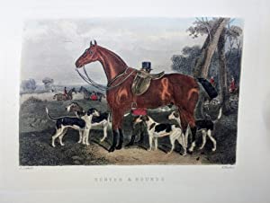 Notitia Venatica : A Treatise on Fox-Hunting Embracing the General Management of Hounds