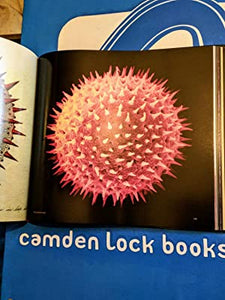 Pollen: the Hidden Sexuality of Flowers>>>>LARGE FORMAT<<<<3rd Edition Rob Kesseler & Madeline Harley ISBN 10: 1906506019 / ISBN 13: 9781906506018 Condition: Fine