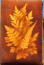 Load image into Gallery viewer, MAUCHLINE FERN WARE BINDING&lt;&lt;The Poetical Works of Sir Walter Scott. With memoir of the author. Sir Walter Scott Publication Date: 1871 Condition: Very Good
