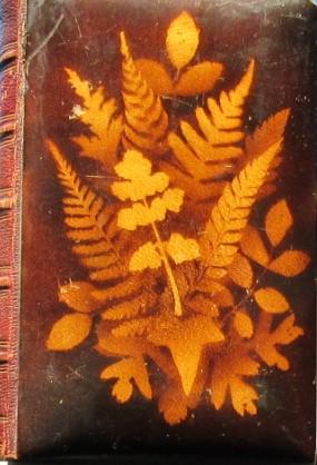 MAUCHLINE FERN WARE BINDING<<The Poetical Works of Sir Walter Scott. With memoir of the author. Sir Walter Scott Publication Date: 1871 Condition: Very Good.