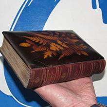 Load image into Gallery viewer, MAUCHLINE FERN WARE BINDING&lt;&lt;The Poetical Works of Sir Walter Scott. With memoir of the author. Sir Walter Scott Publication Date: 1871 Condition: Very Good.
